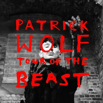 Patrick Wolf poster