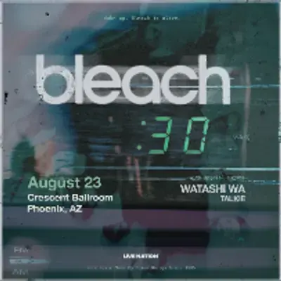 Bleach poster