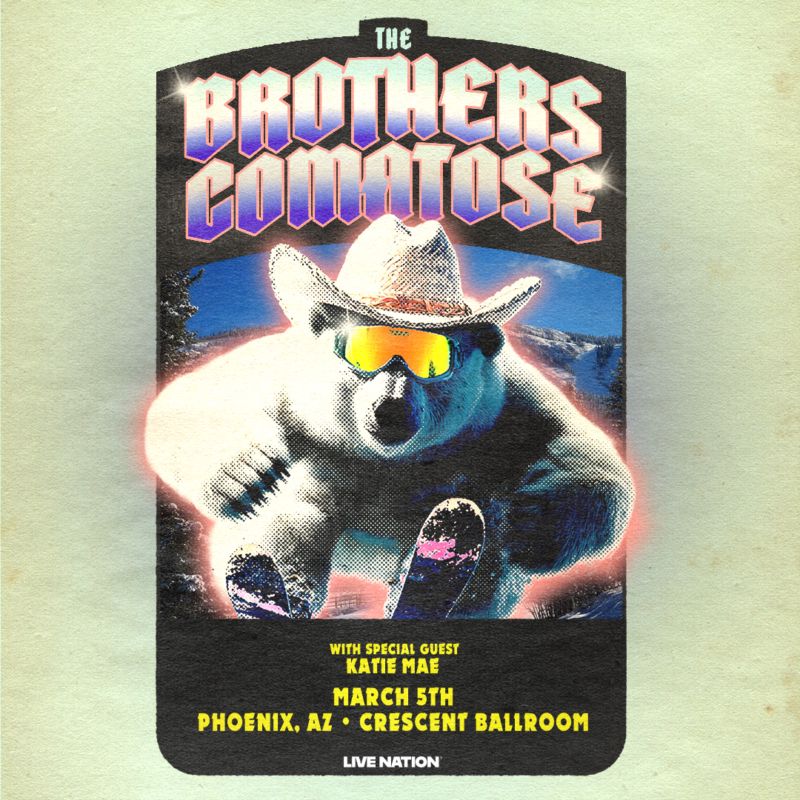 THE BROTHERS COMATOSE