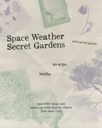 Space Weather poster