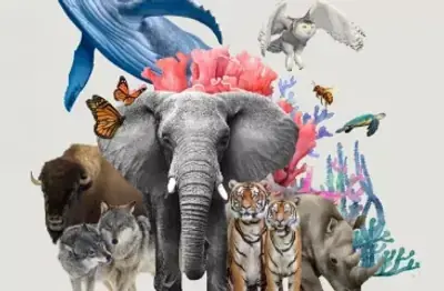 Carnival of Creatures: Past & Present poster