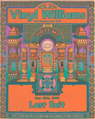 Vinyl Williams poster