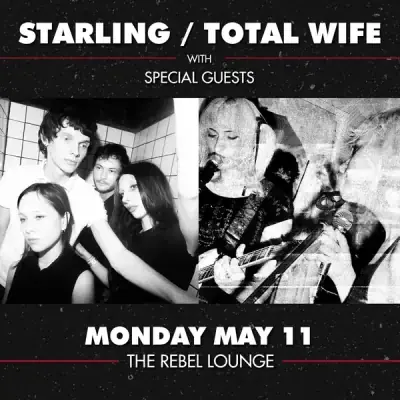 Starling / Total Wife poster